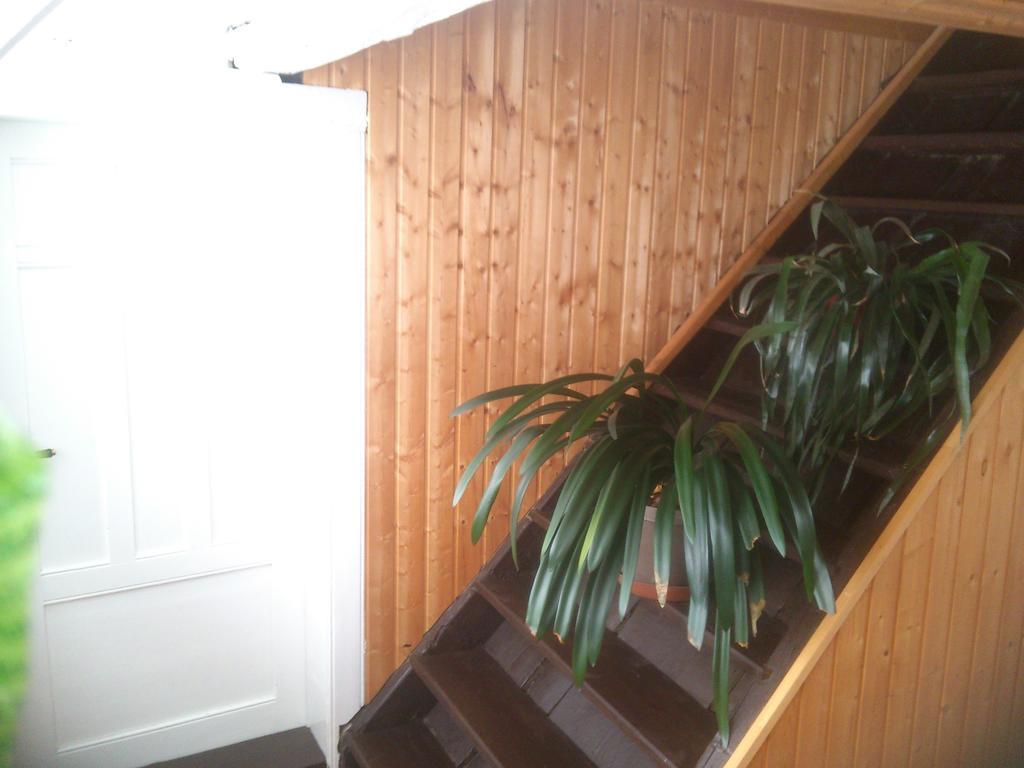 Apartman 141 Chřibská Rum bild